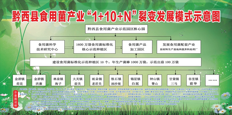 1+10+N裂变发展模式