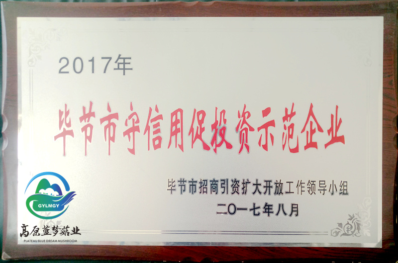 毕节市守信用促投资示范企业