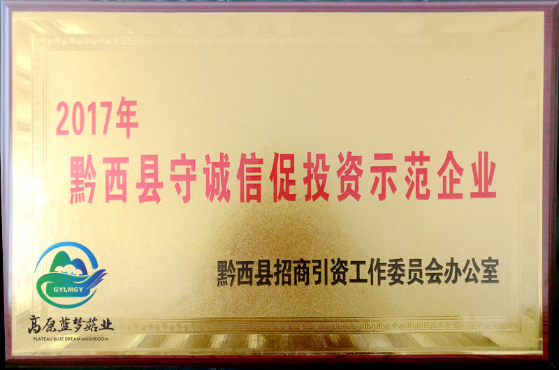 黔西市守诚信促投资示范企业