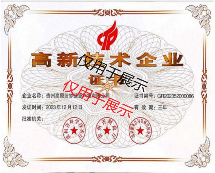 高新技术企业证书