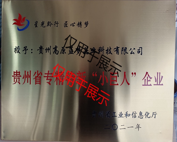 贵州省专精特新“小巨人”企业